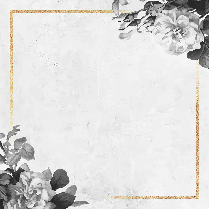 空白金方框向量