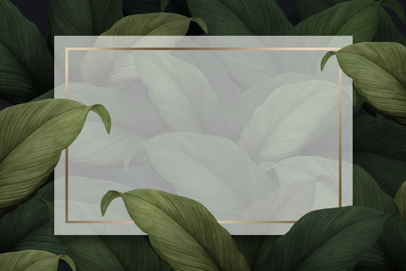 绿色热带树叶图案海报