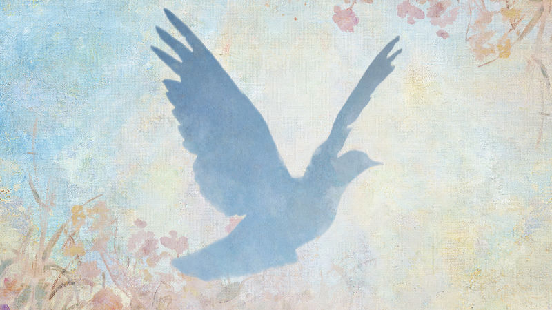 蓝鸽剪影画背景插图