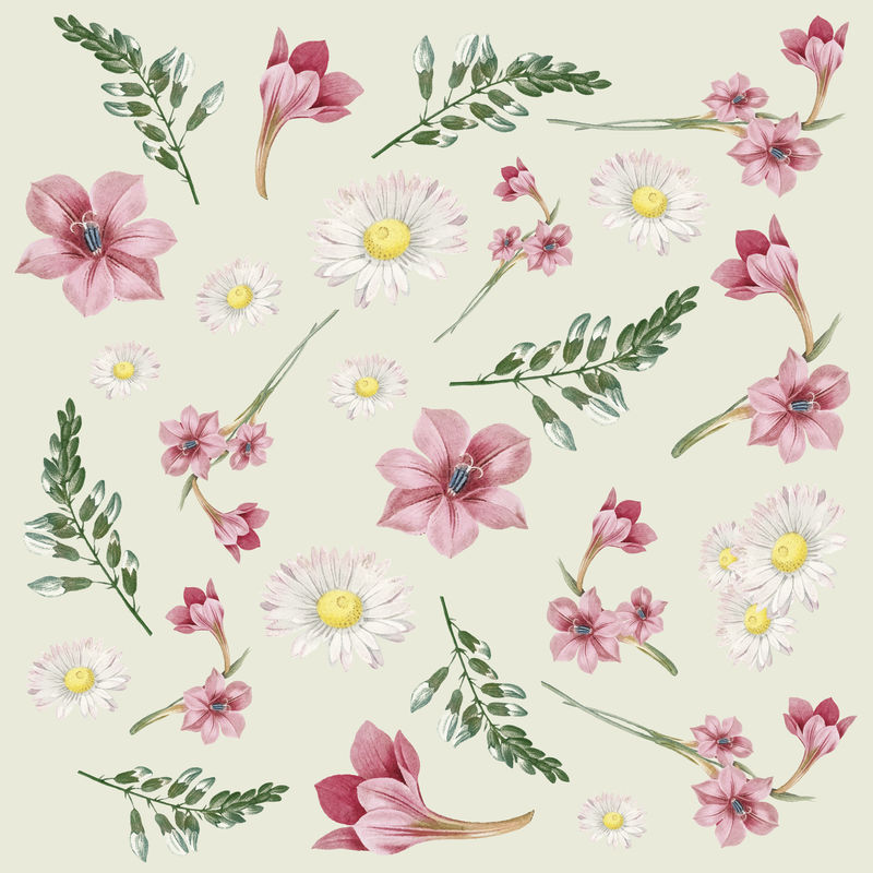 粉白花图案矢量