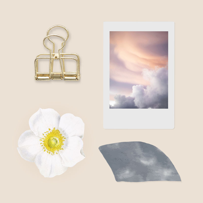 即时照片和黄金装订夹矢量