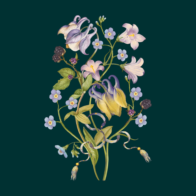 紫色龙葵花束矢量深色背景