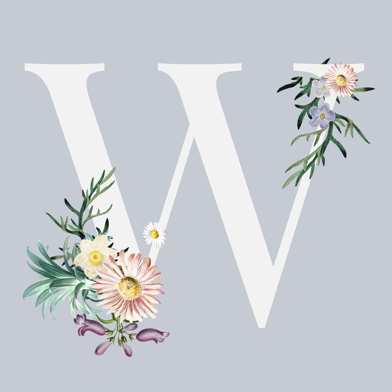 W花卉字母