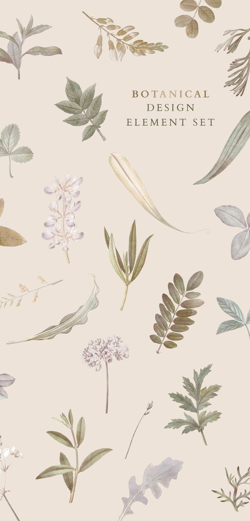 米色背景向量上的叶形图案