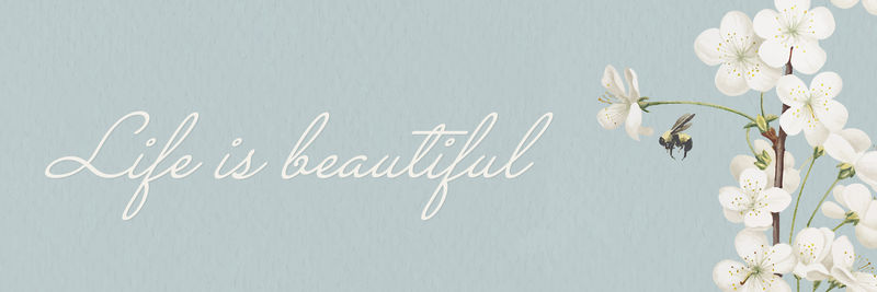 生活是美丽的