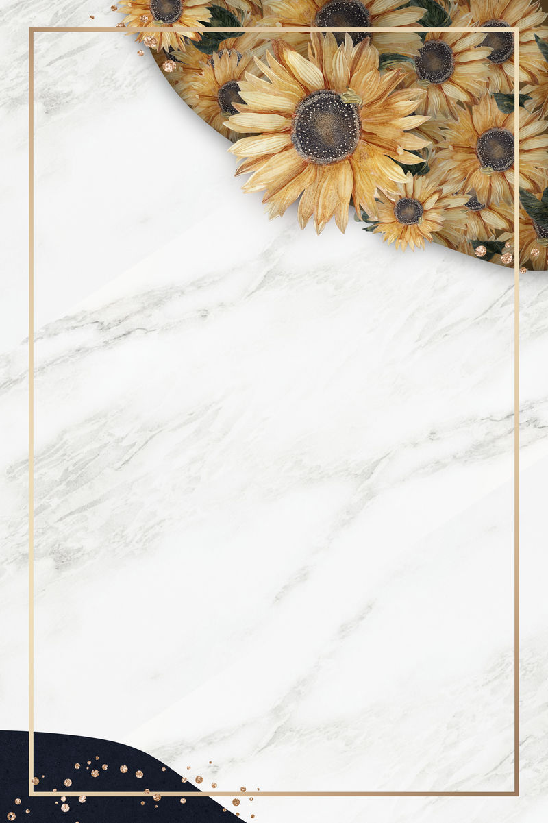 白色大理石背景金框插图