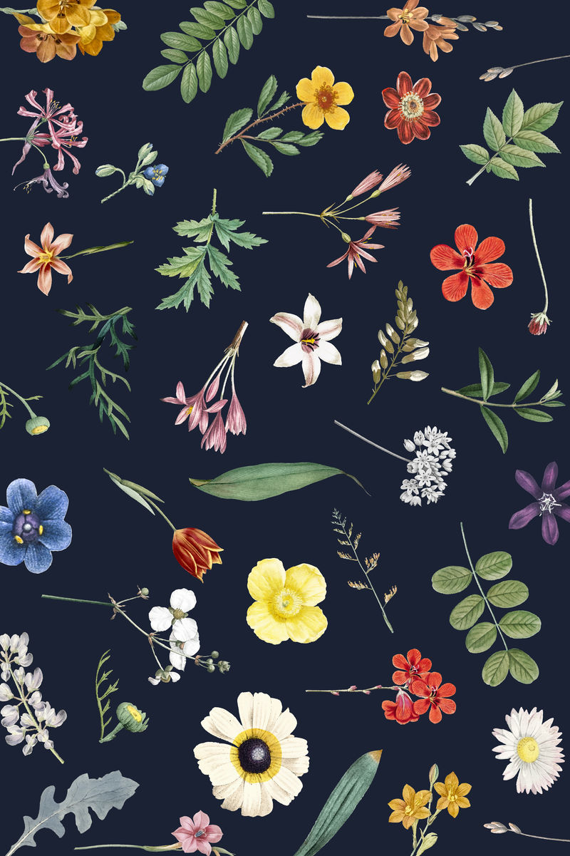 蓝色背景矢量上的花卉图案