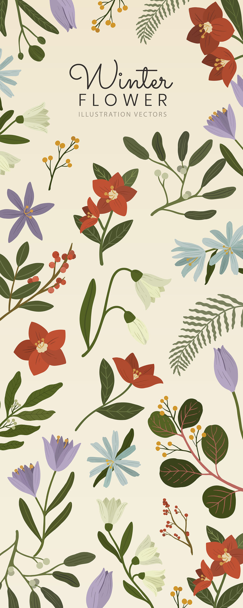 米色背景载体上的冬季植物