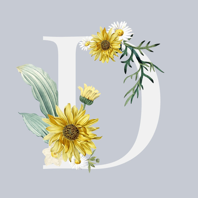 D花卉字母