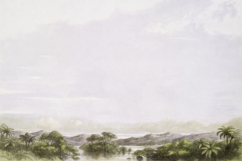 美丽的风景从仙女女王采取了一个轻马车一个十二在手由纯种蝴蝶绘制的理查德道尔1870年通风驱动器