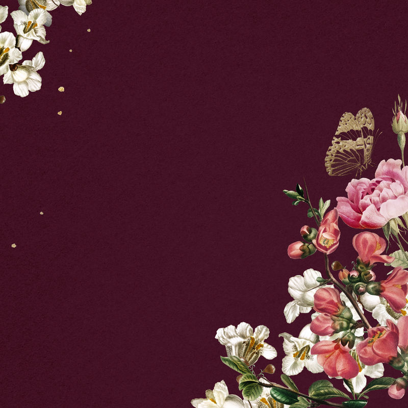 优雅的情人节\u0026#39；红色背景水彩