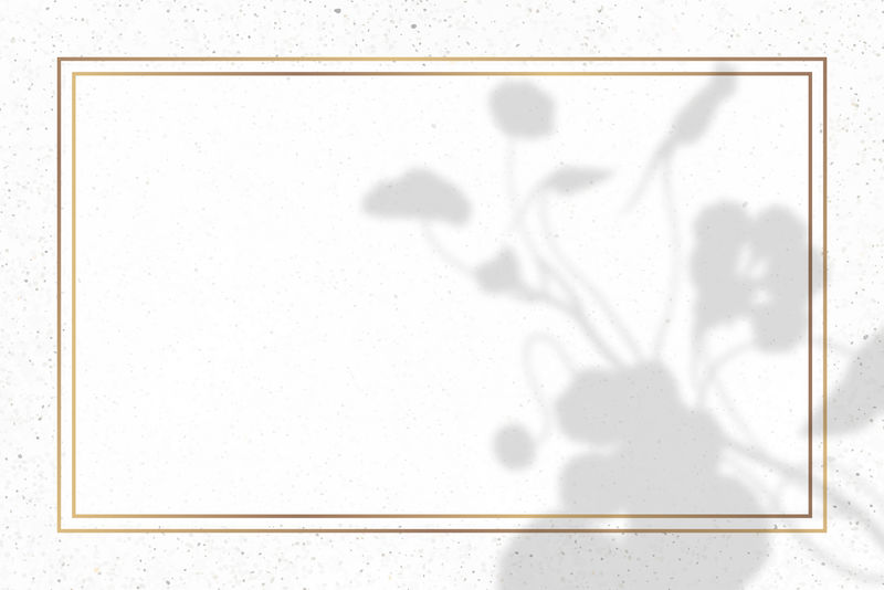 白色大理石背景矢量上带花卉阴影的矩形金框素材 高清图片 摄影照片 寻图免费打包下载