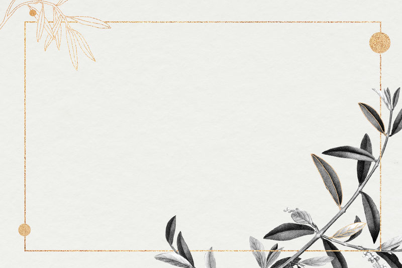 矩形金框橄榄枝图案插画
