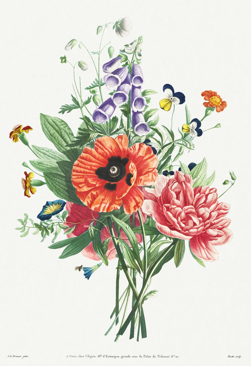 复古罂粟牡丹和毛地黄花束插图植物墙艺术