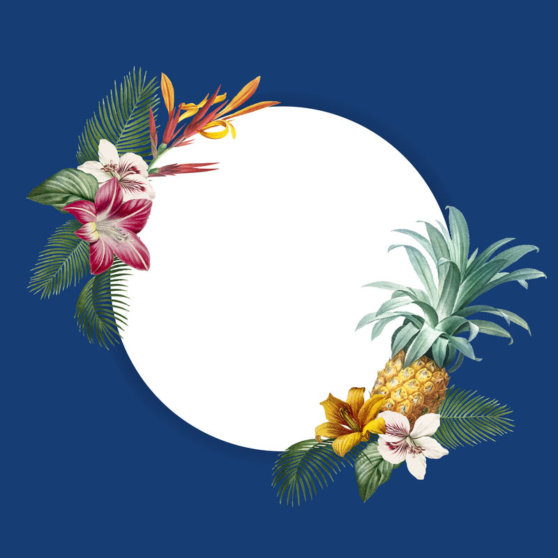 蓝色背景向量上的热带圆框
