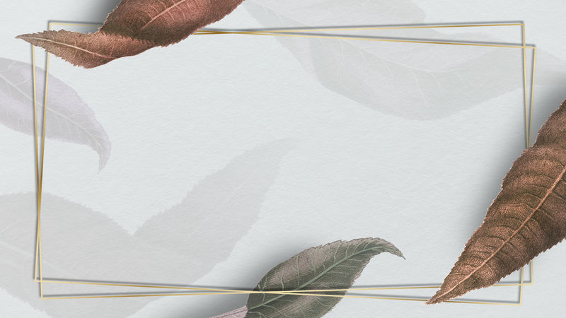 带有棕色桃枝图案的金属框架社会模板插图