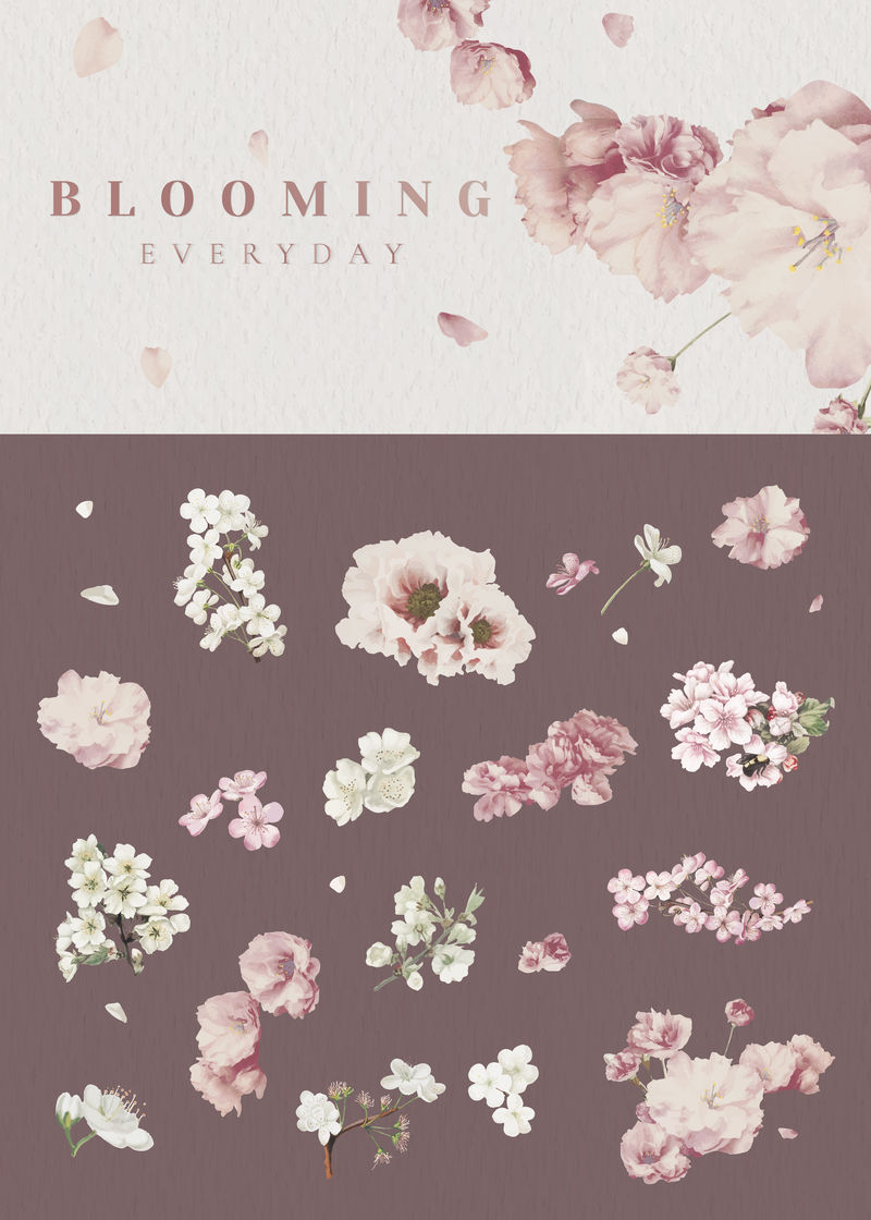 花卉设计元素矢量集合