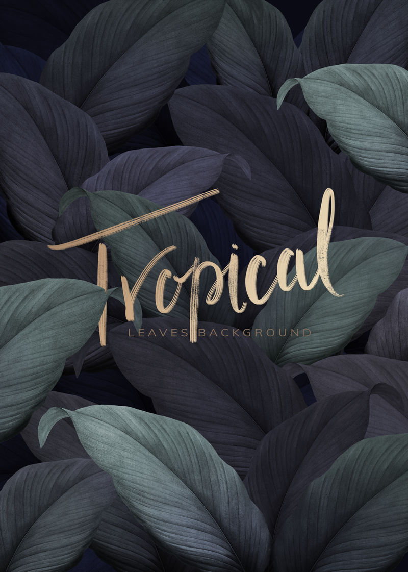 绿色热带树叶图案背景