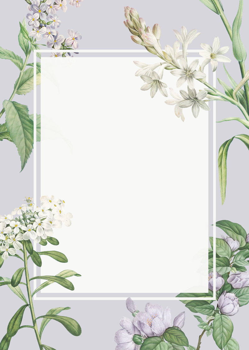 复古空白各种花卉主题框架插图