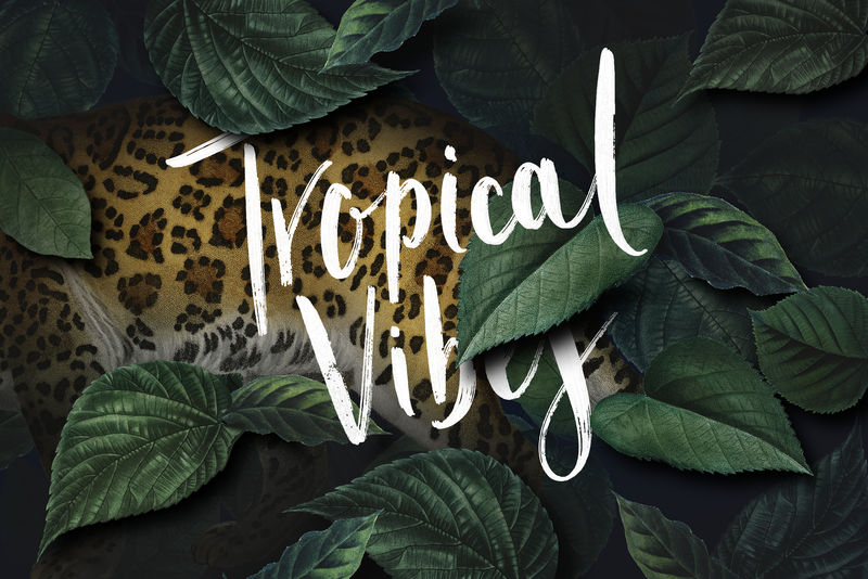 希塔赫在一个树叶背景插图