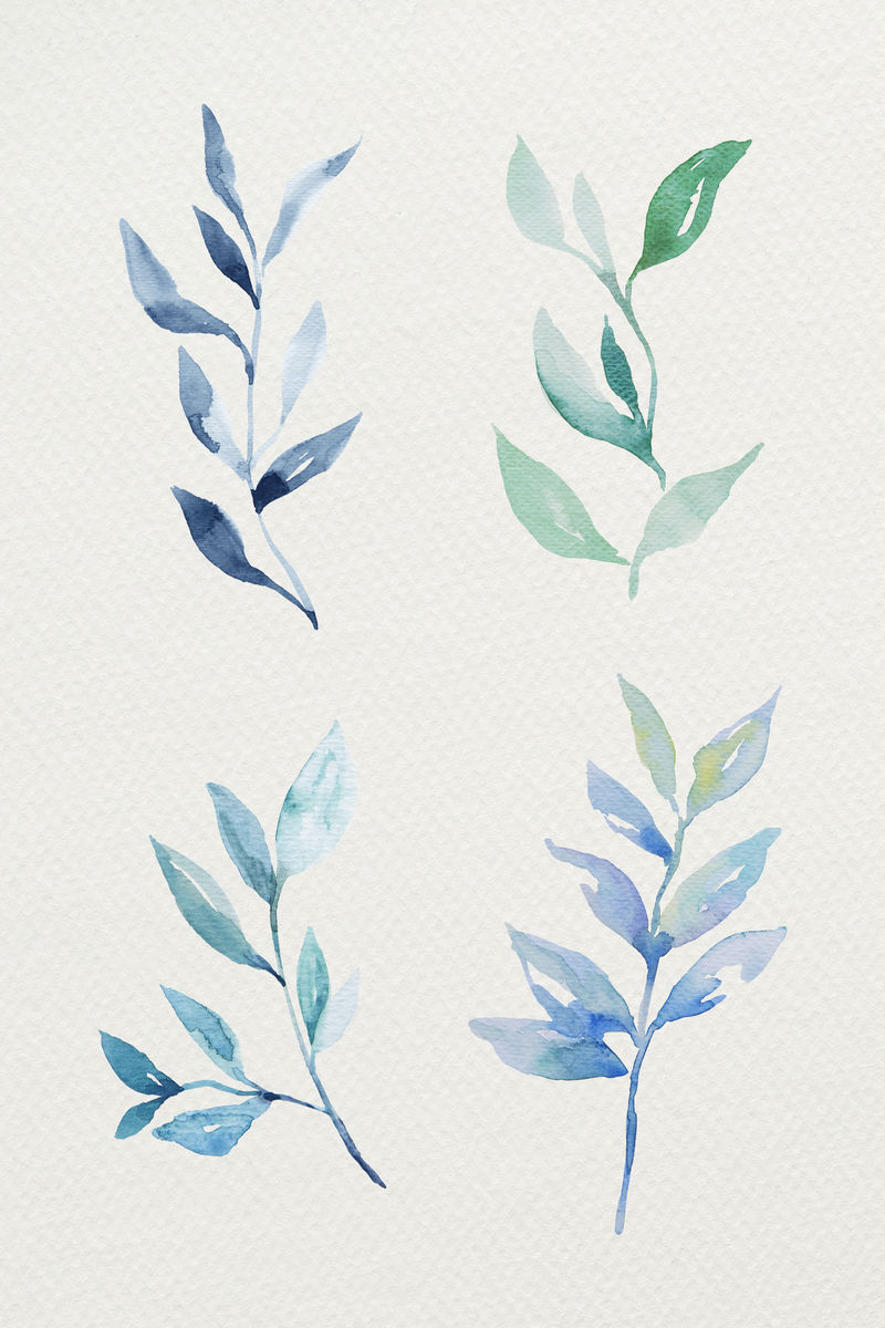 彩色水彩自然树叶插画