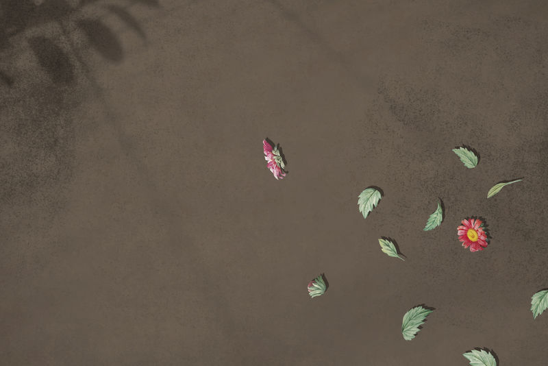 棕色背景向量上的粉红色和红色非洲菊雏菊图案