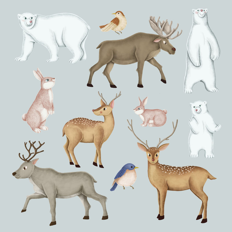 手绘野生动物套装