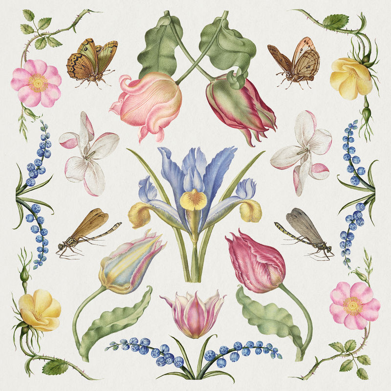 手绘花卉插画集从书法模型书乔里斯霍夫纳格尔和乔治博茨凯混音