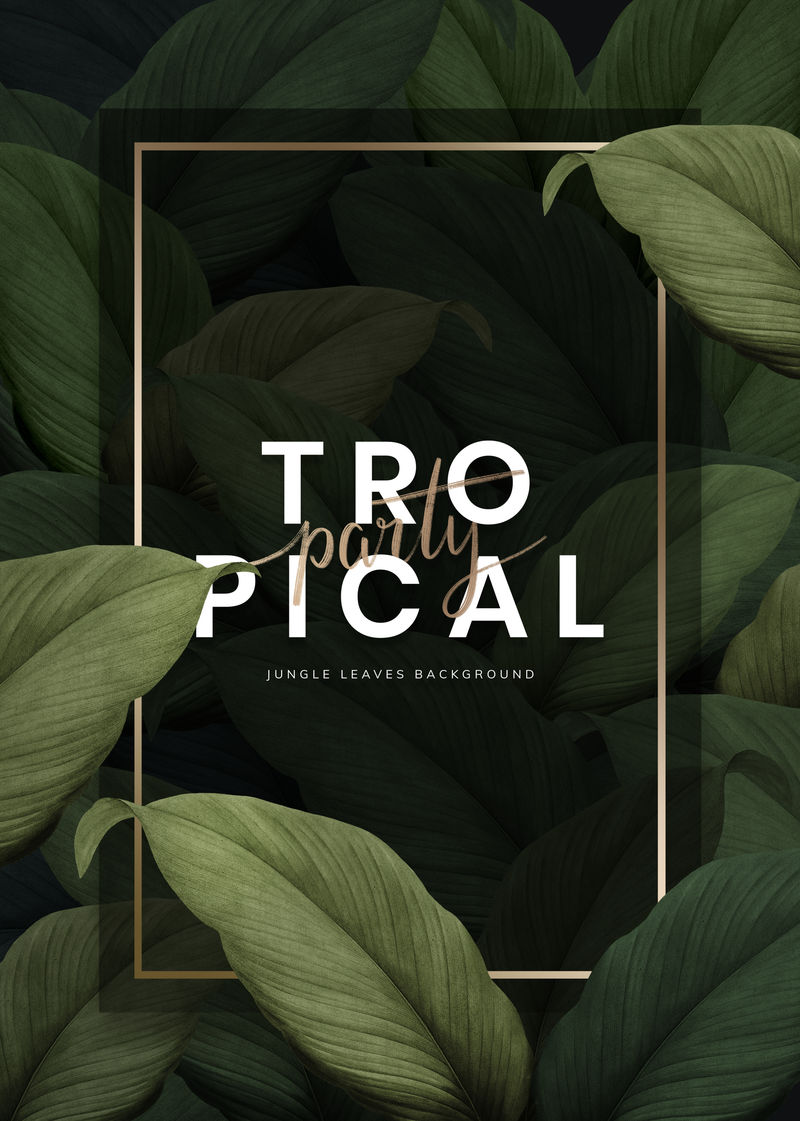 热带派对广告留有图案的海报