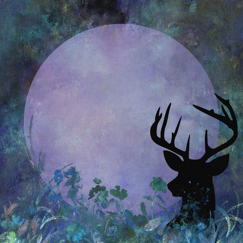 带有鹿头轮廓的圆形框架画有图案的背景插图