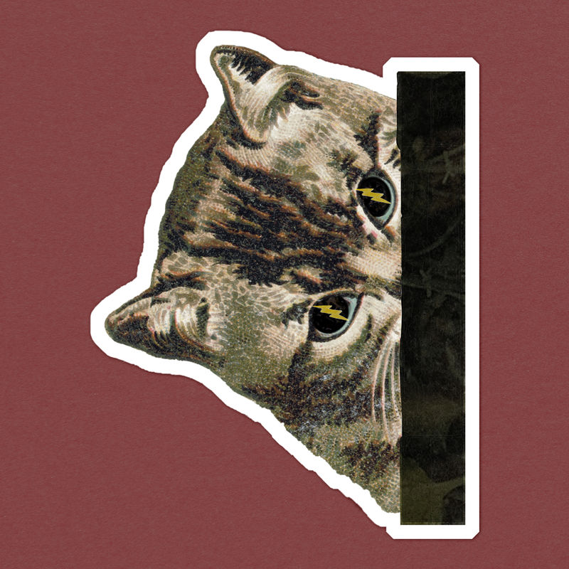 闪电眼猫贴纸插图