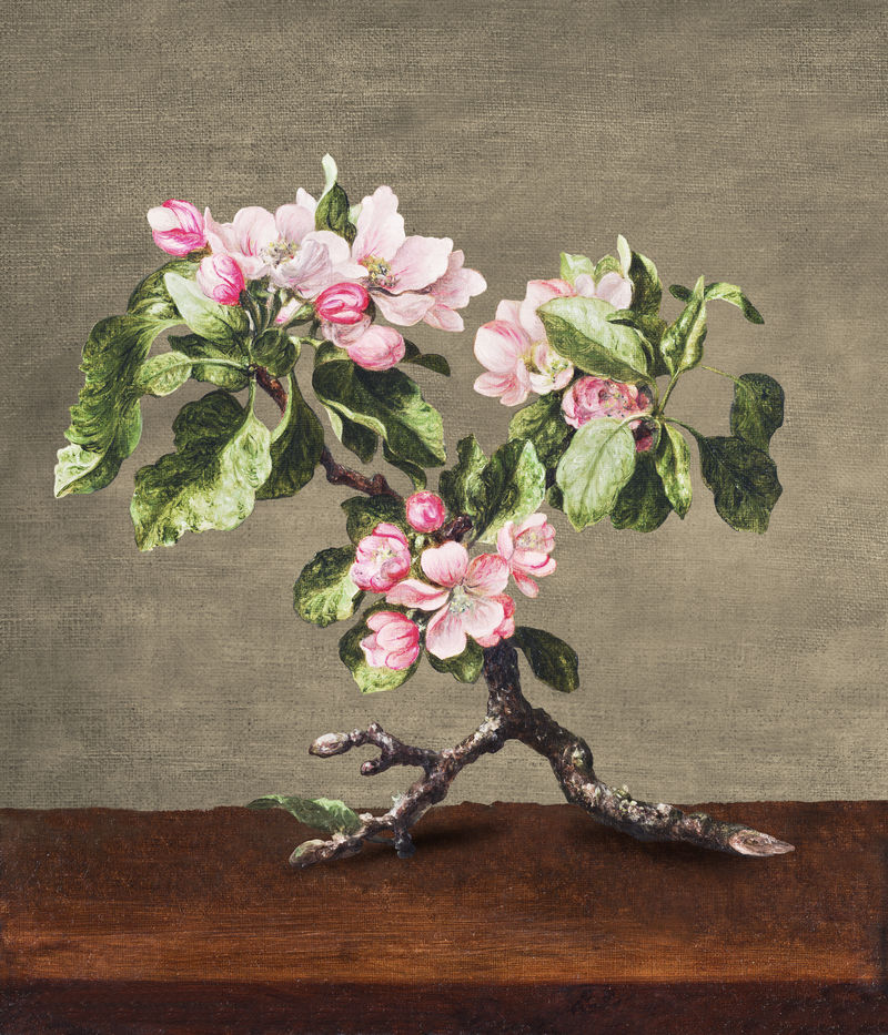 复古粉色苹果花插画植物墙艺术