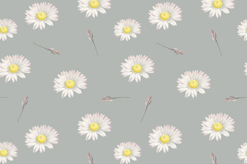 灰色背景向量上的白色雏菊无缝图案