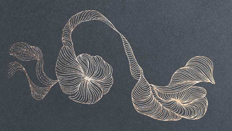 花卉抽象框架设计壁纸插画