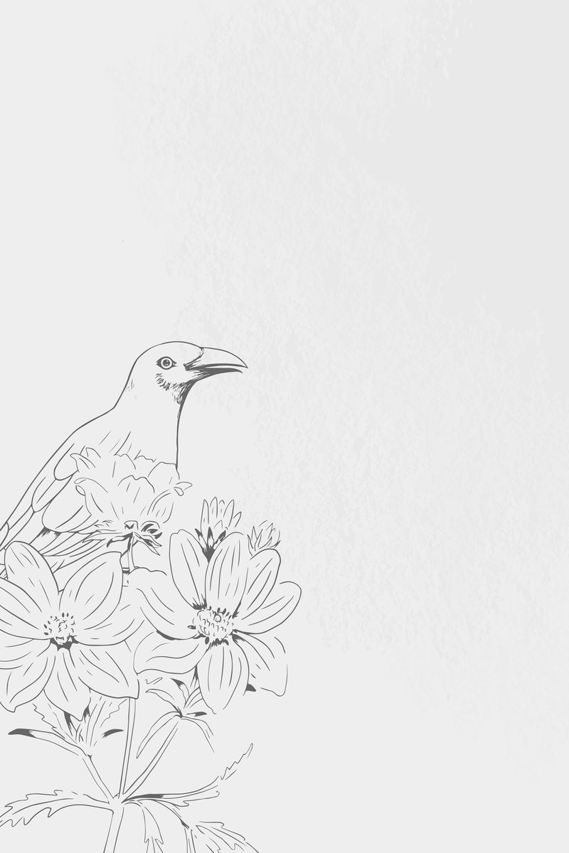 白色背景向量上的手绘花鸟图案