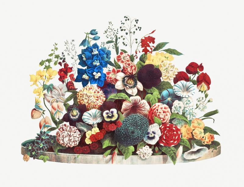 复古花卉设计元素