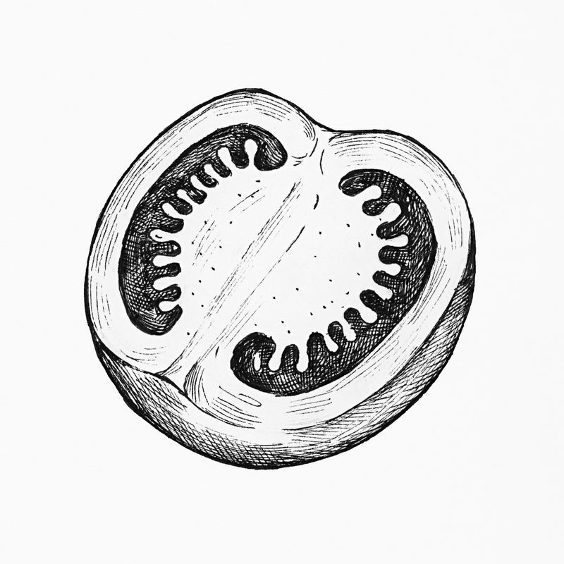 手绘的新鲜番茄片