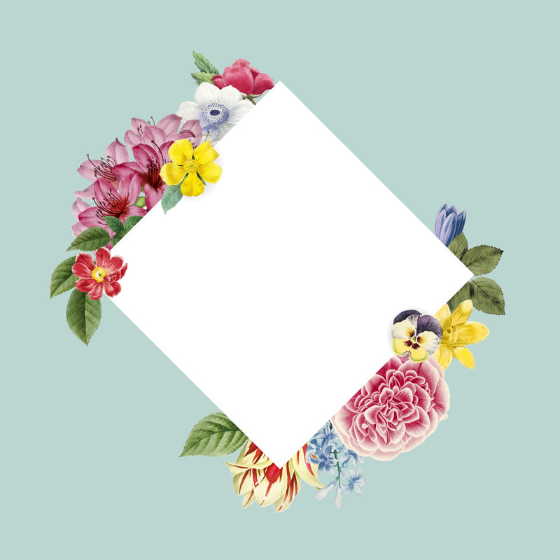 七彩夏花饰方框设计元素