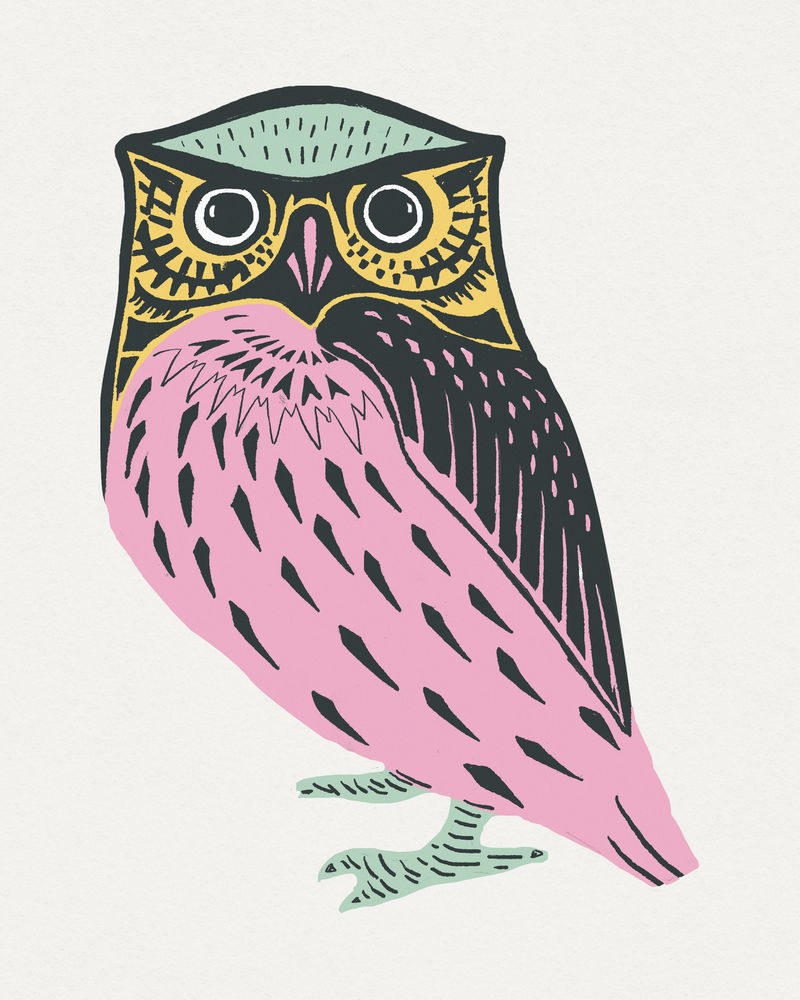 复古彩色猫头鹰psd linocut风格插图