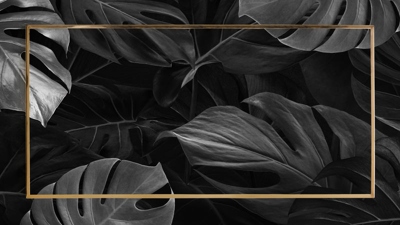 热带黄金怪兽框架psd