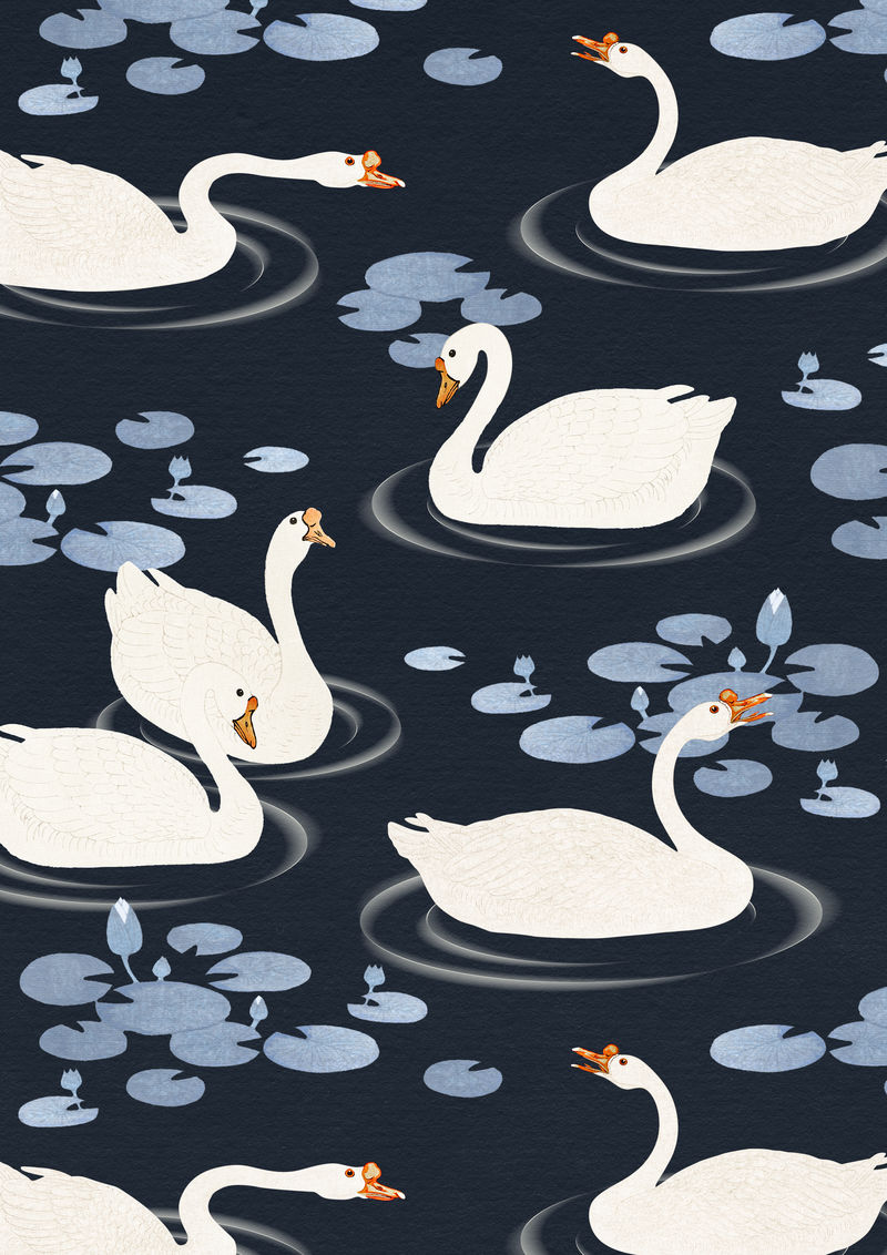 在深蓝色背景插图上的湖中游泳的白鹅