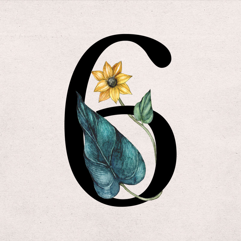 Psd 6号字体花卉装饰排版