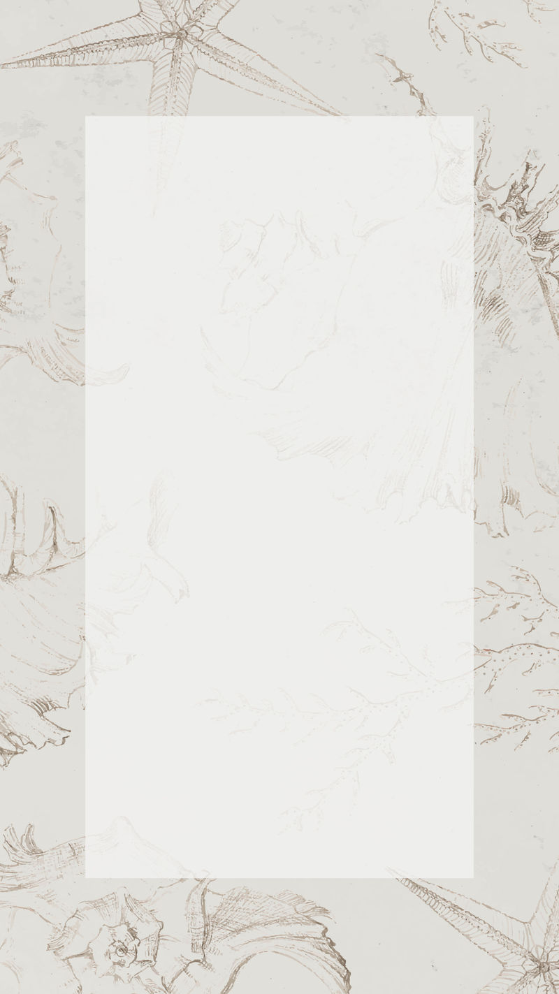 空白矩形珊瑚框架设计向量