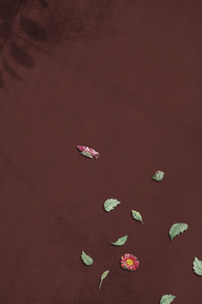 红色背景向量上的粉红色和红色非洲菊雏菊图案