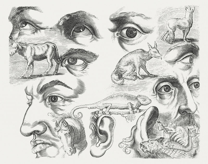 灰白色背景上的复古素描人脸和动物