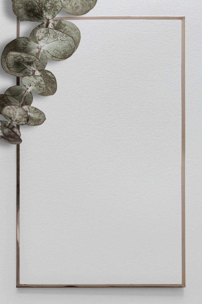 Psd桉树金框灰色背景