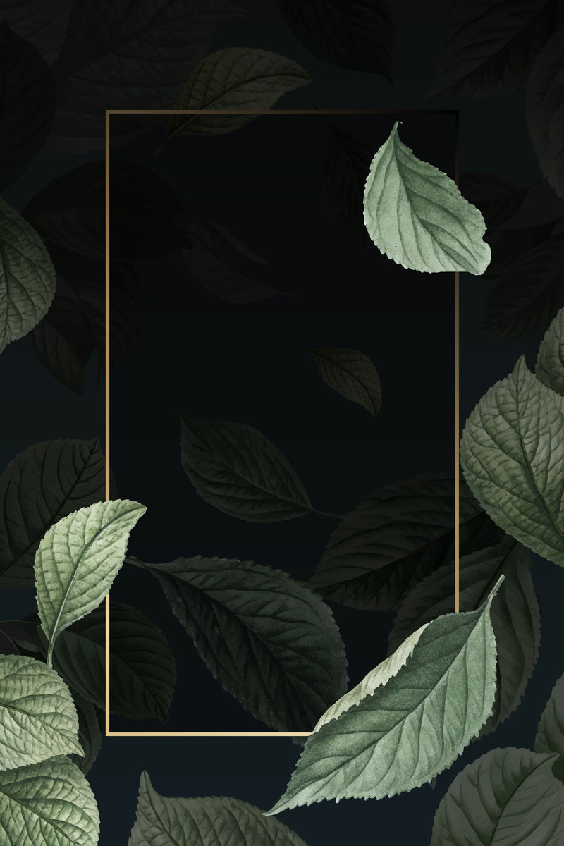 手绘樱桃叶图案与矩形金框向量