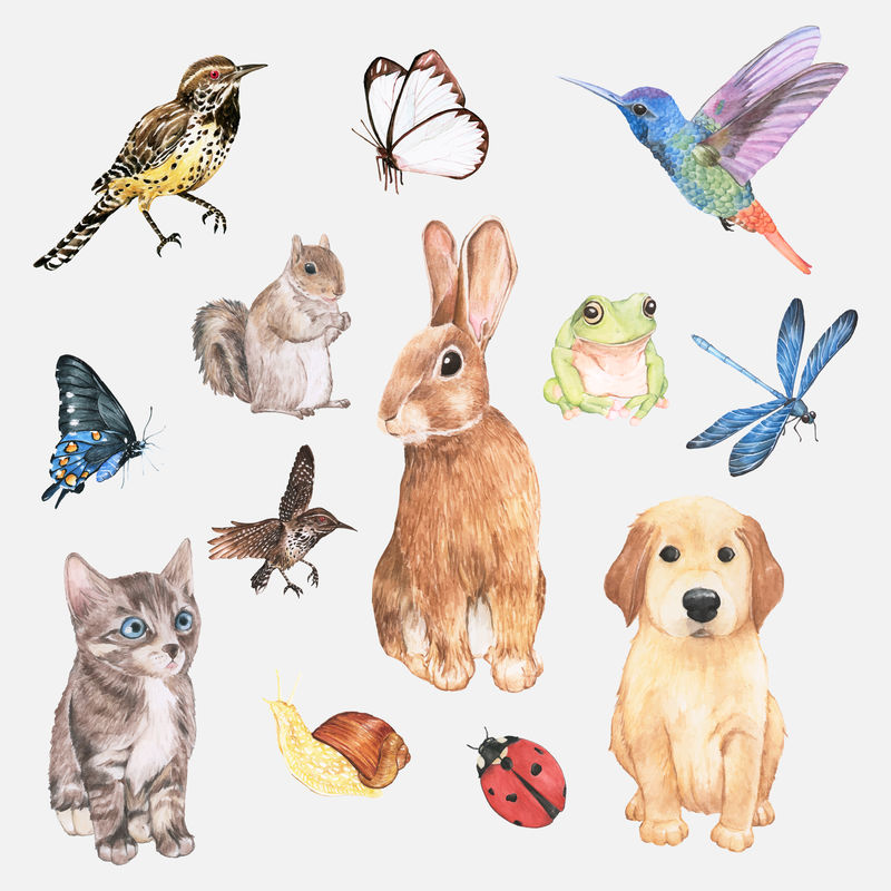 水彩画可爱动物元素贴纸