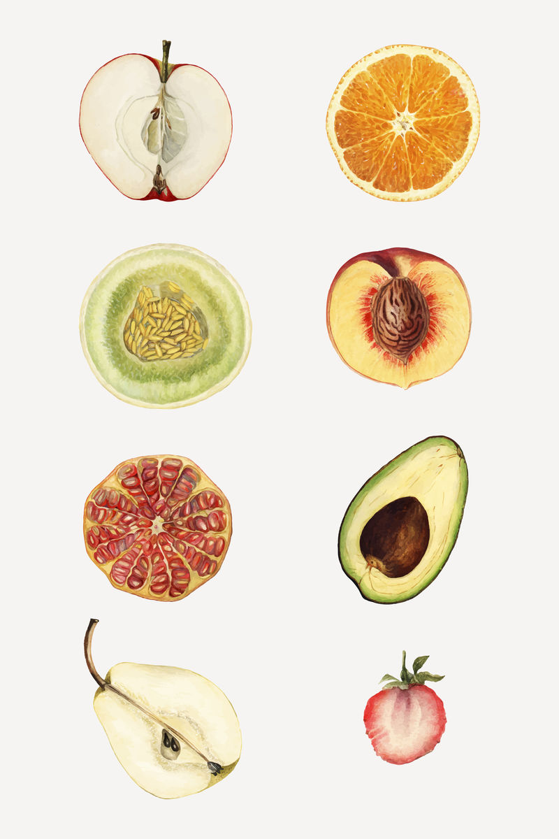 手绘热带水果集矢量