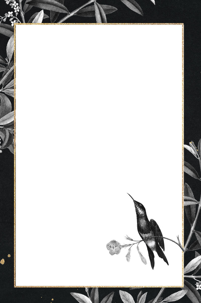 空白闪金框矢量